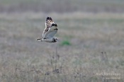 Filename=Kalouspustovka1.jpg
Filesize=78KB
Dimensions=800x533
Date added=Mar 14, 2016 Kalouspustovka1.jpg