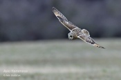 Filename=Kalouspustovka4.jpg
Filesize=56KB
Dimensions=800x533
Date added=Mar 22, 2016 Kalouspustovka4.jpg