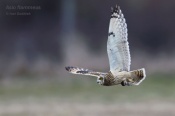 Filename=Kalouspustovka5.jpg
Filesize=54KB
Dimensions=800x533
Date added=Mar 22, 2016 Kalouspustovka5.jpg