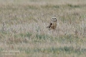 Filename=Kalouspustovka6.jpg
Filesize=149KB
Dimensions=800x533
Date added=Mar 22, 2016 Kalouspustovka6.jpg