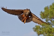 Filename=Vyrvelky9.jpg
Filesize=180KB
Dimensions=800x533
Date added=May 20, 2013 Vyrvelky9.jpg